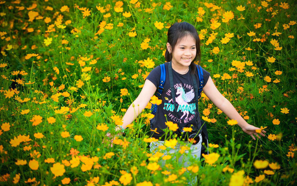 越南河內的11歲女童阮月靈(Nguyen Nguyet Linh) (網路圖片)