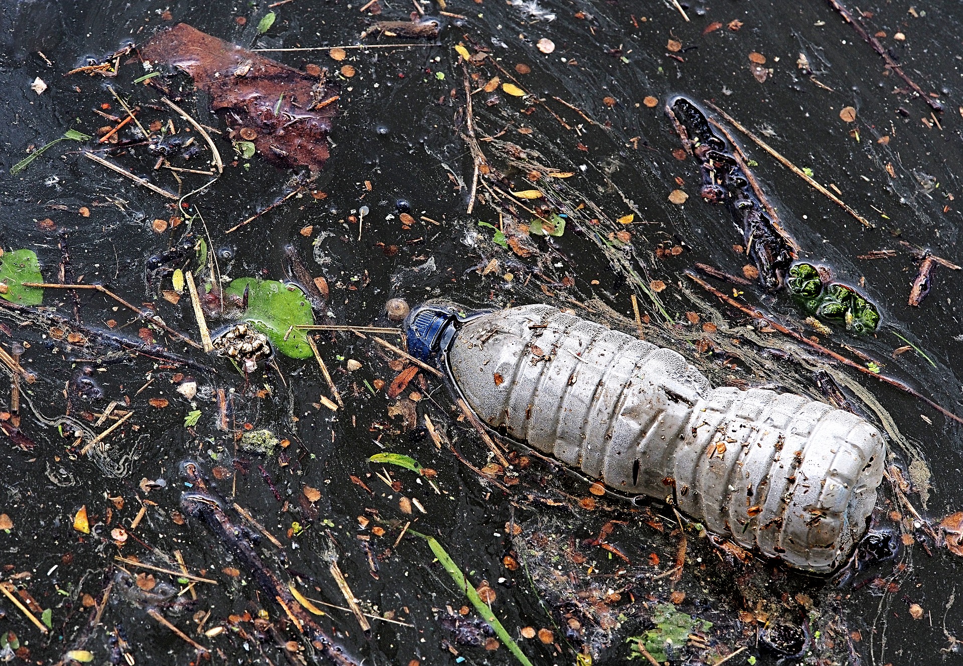 一份研究表示，每年流入海洋且帶給海洋生物致命威脅的塑膠垃圾量，20年後恐達目前的3倍。（示意圖 / 翻攝自Pixabay.com）