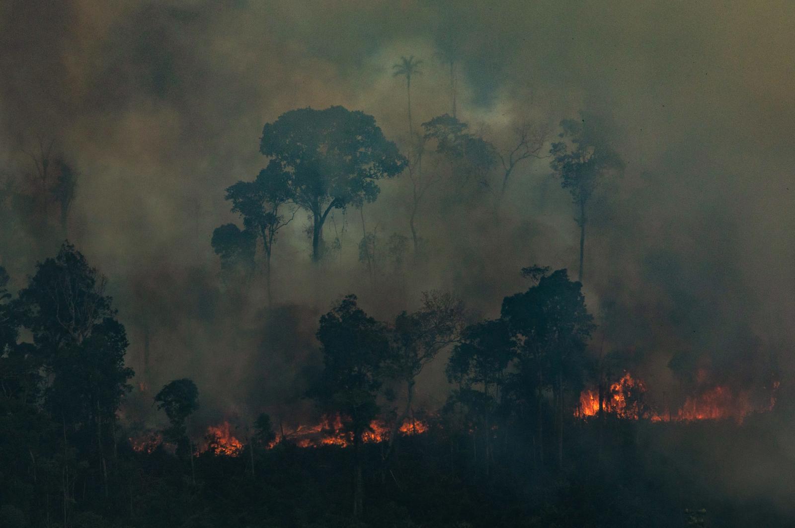 亞馬遜雨林在9月發生火災的次數飆升，成為逾10年以來最嚴重的一個月。(圖：綠色和平)