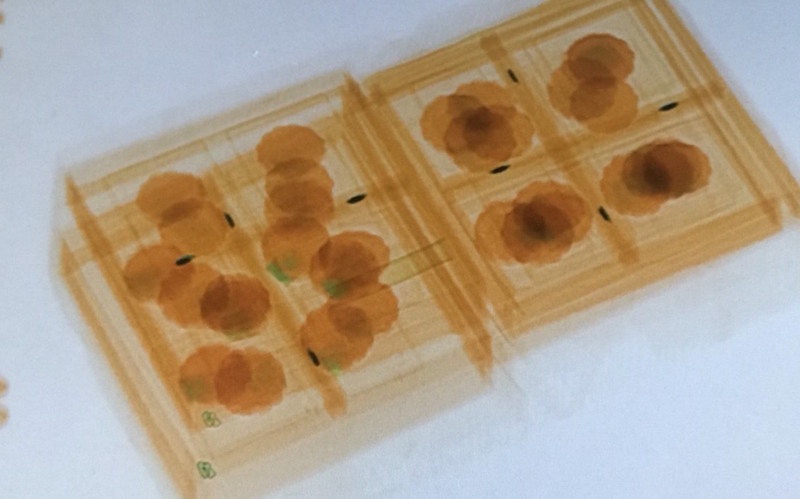 桃園國際機場1日發現3起本國籍民眾自中國大陸返台的託運行李攜帶豬肉內餡月餅，月餅在X光機檢查下，輪廓相當明顯。(圖：中央社)