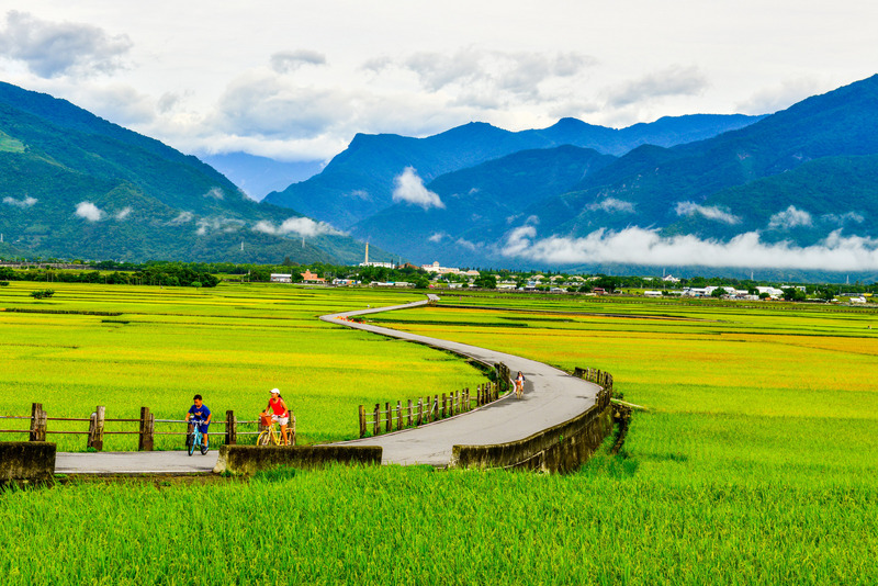 旅外人士最愛何處？台灣連續3年居冠。圖為台東熱門景點伯朗大道。（圖:中央社）