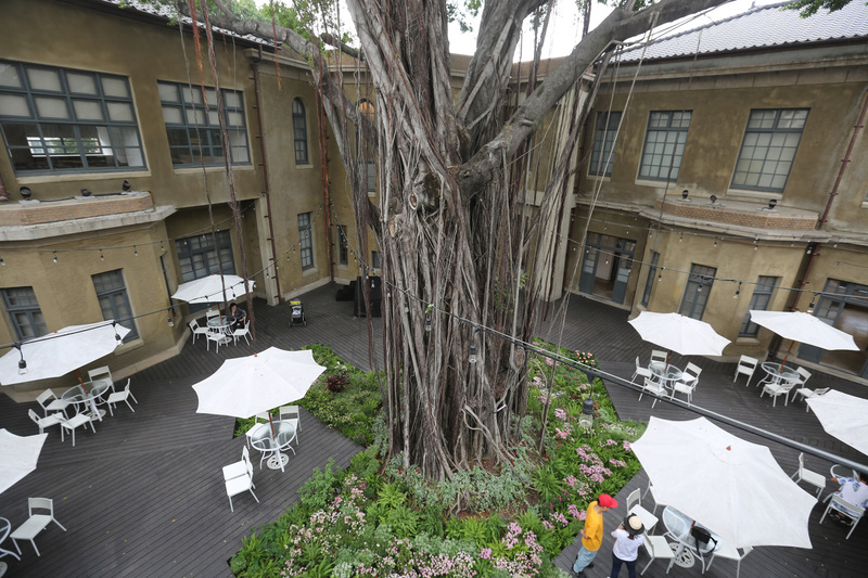 藝人林志玲17日將在台南市美術館1館舉行婚禮，宴客場所位處舊館和新館間的廊道，廊道前有老榕中庭，氣氛幽靜。