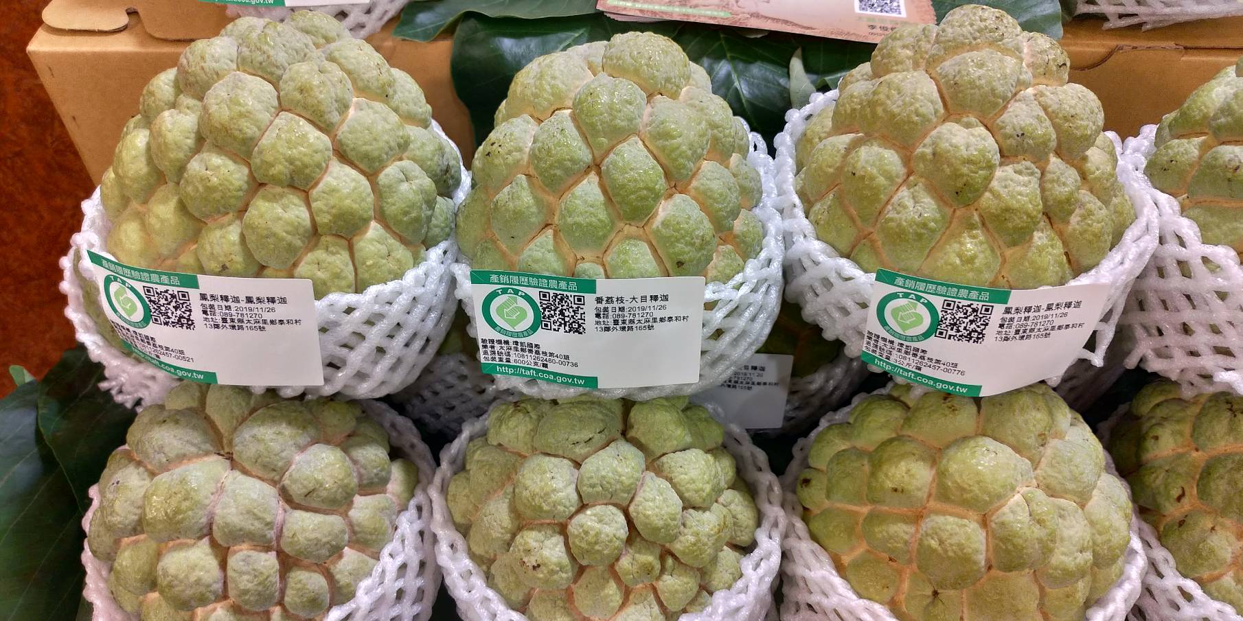 台灣釋迦將擴大新南向市場。(圖／陳林幸虹 攝)