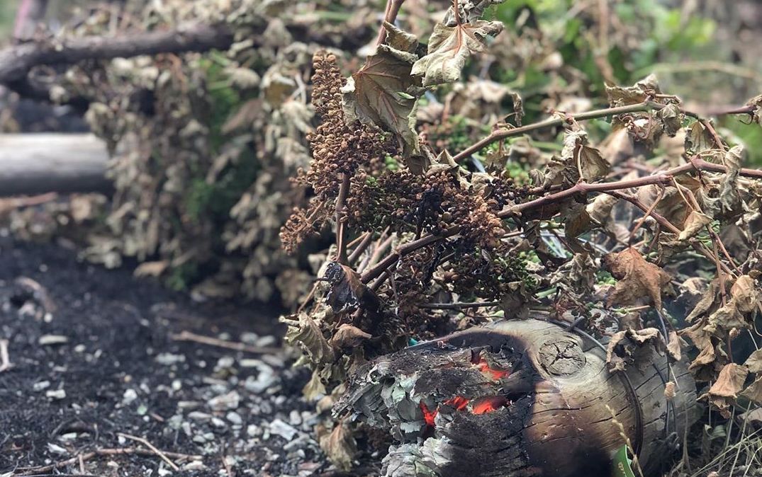 生產沃特魯波葡萄酒的傅利，在Instagram上傳釀酒廠被燒的焦黑的照片。(圖:IG)
