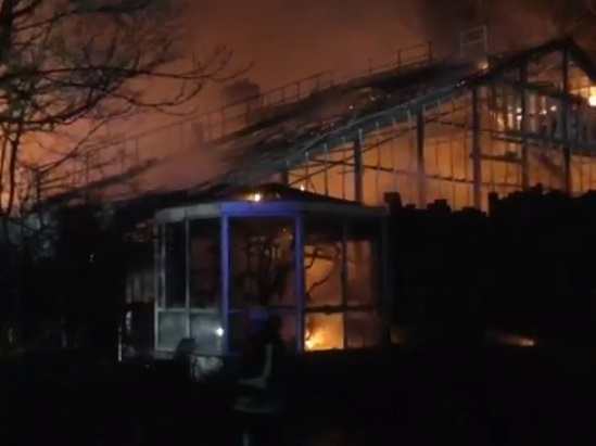 德國北萊因-西發利亞邦克里菲德市當地動物園大火，數十隻動物死亡，其中包括8隻猩猩。(圖擷自推特)