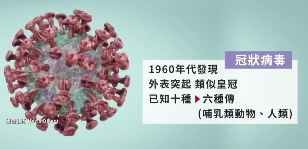 武漢肺炎防疫 南韓敦促中國提供病毒相關訊息(圖截自網路)
