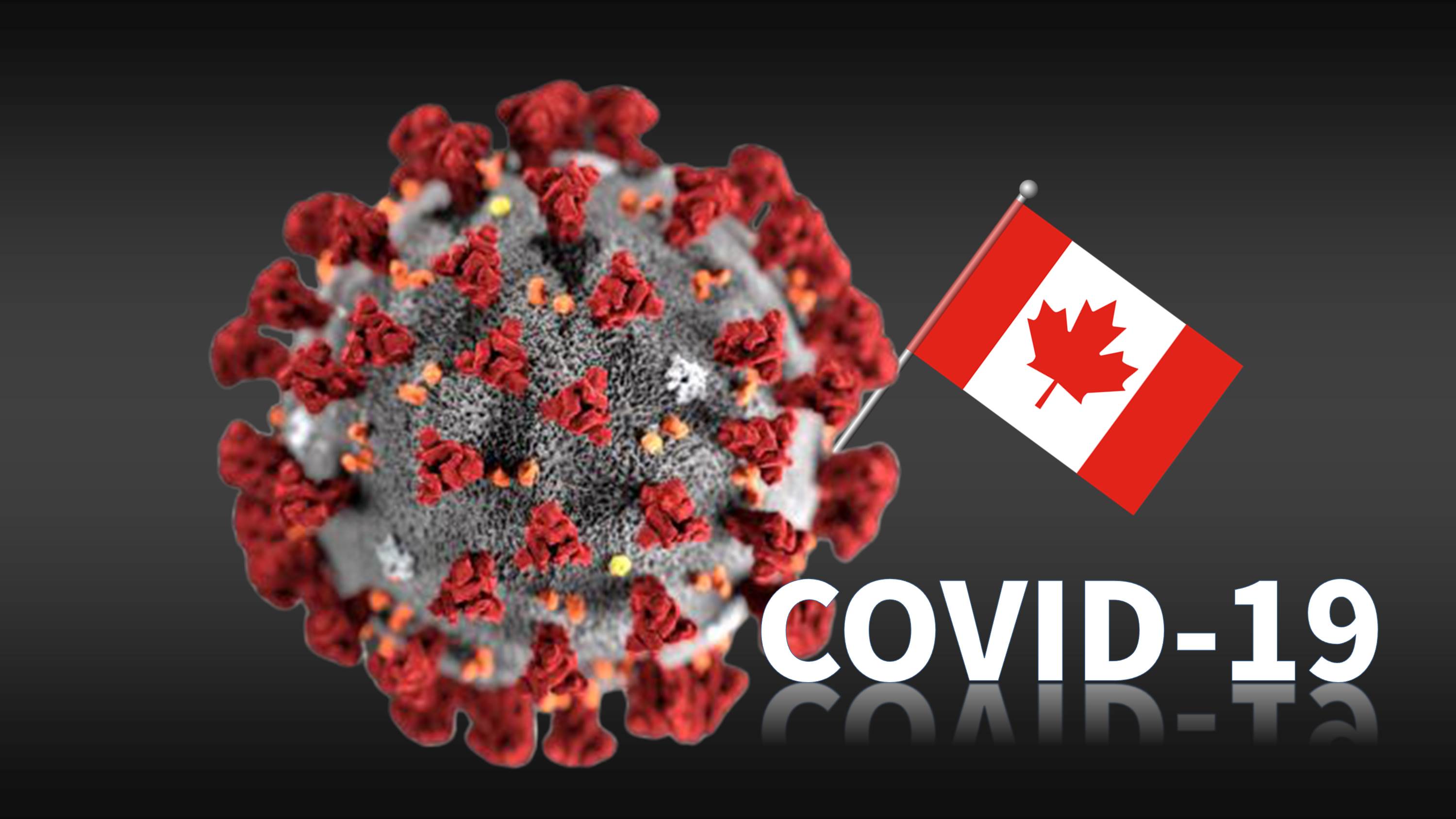 加拿大緊急向中國採購1100萬個N95口罩，卻有800萬個不合格，加國政府拒付款並轉向台灣採購千萬個醫療口罩。(合成圖/Pixabay/路透社/達志影像)