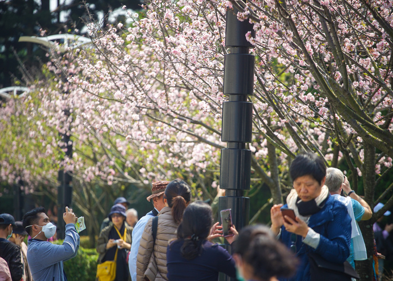 氣象局表示，今(8日)明(9日)兩天天氣相對，10日清晨起鋒面將帶來水氣，氣溫料下降約6到7度。(中央社)