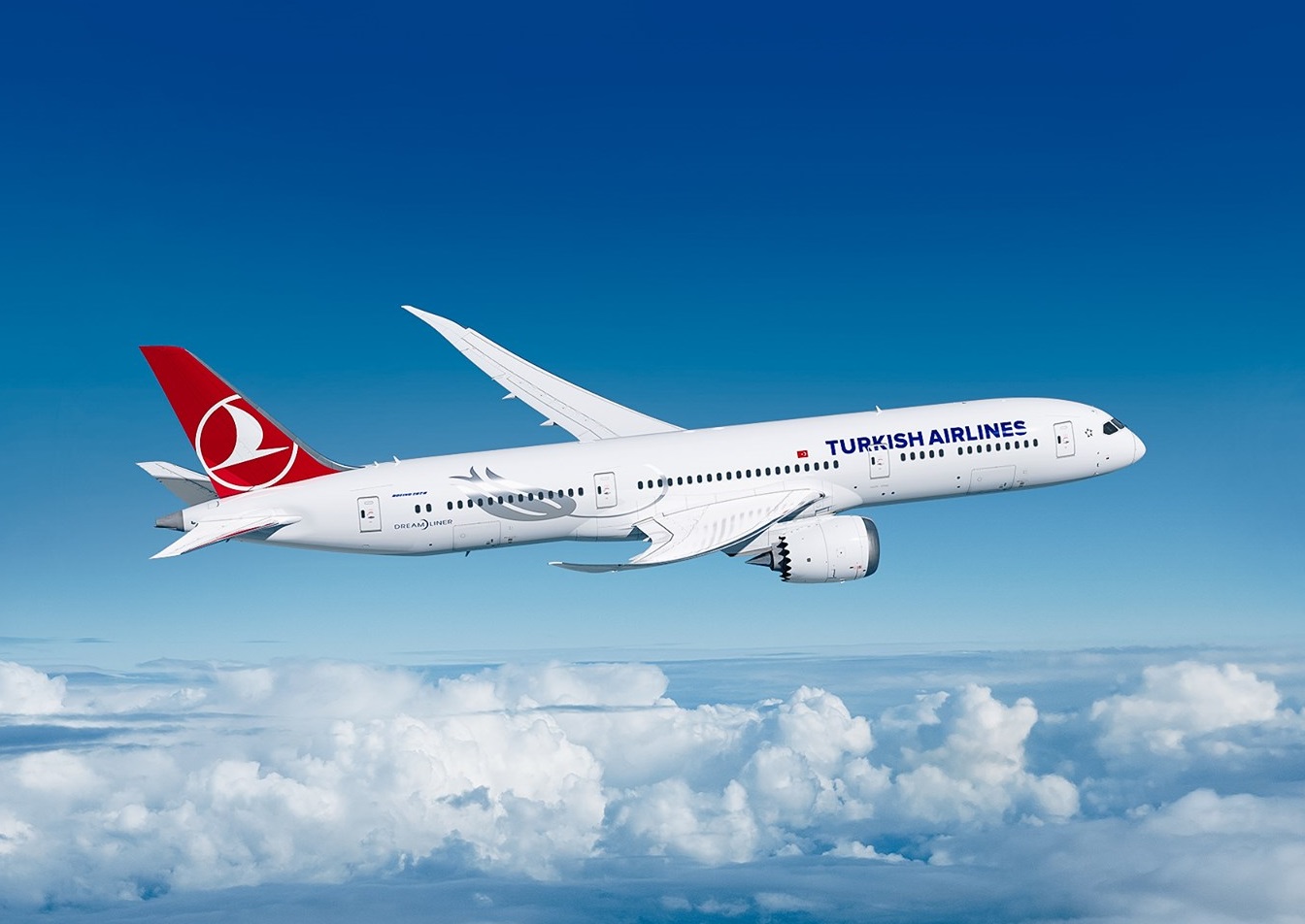 土耳其航空公司(Turkish Airlines)。(圖：土耳其航空臉書)