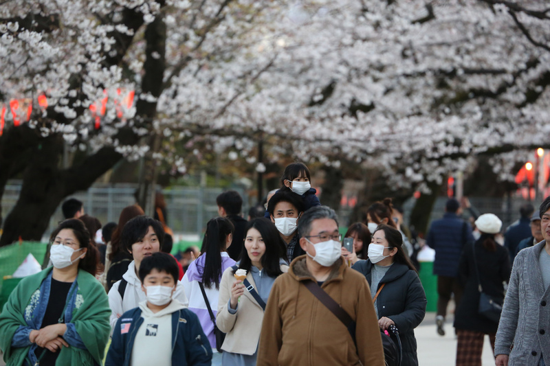 受到武漢肺炎疫情影響，東京都政府宣布在旗下管轄的公園、河川地民眾不得辦櫻花宴，今年賞櫻氣氛不如往年熱絡，可看到許多遊客戴口罩。(圖:中央社)