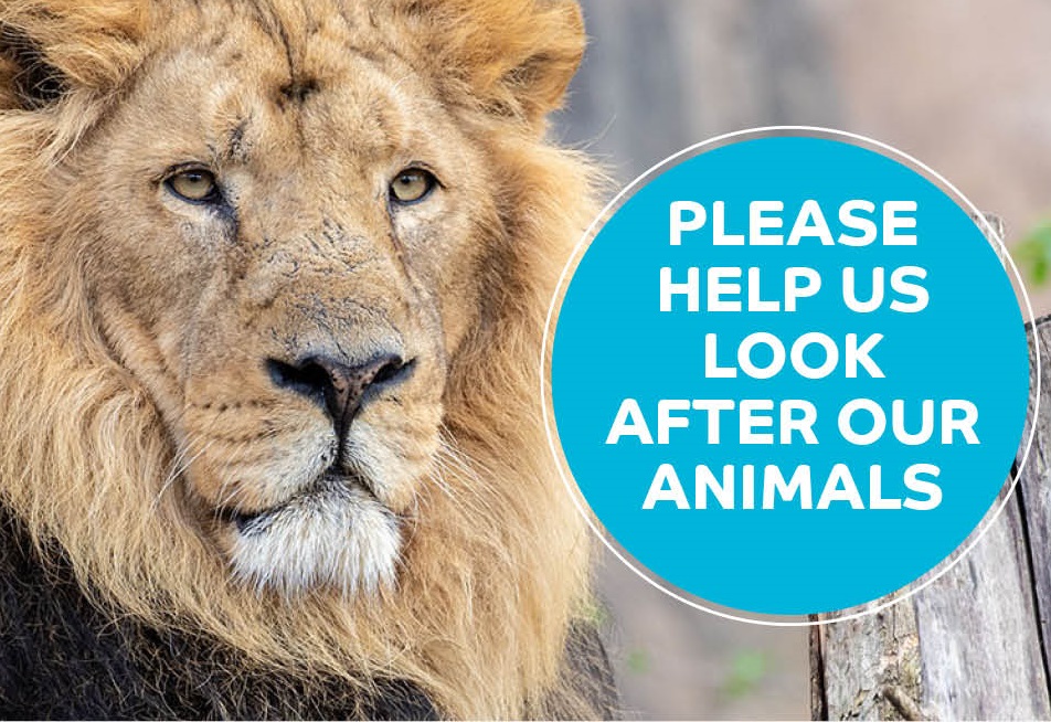世界最古老的倫敦動物園(London Zoo)因疫情而對公眾關閉，寫下二戰以來首例，園方正尋求各界捐贈，以保護園內大約1萬8,000隻動物。(圖：倫敦動物園臉書)