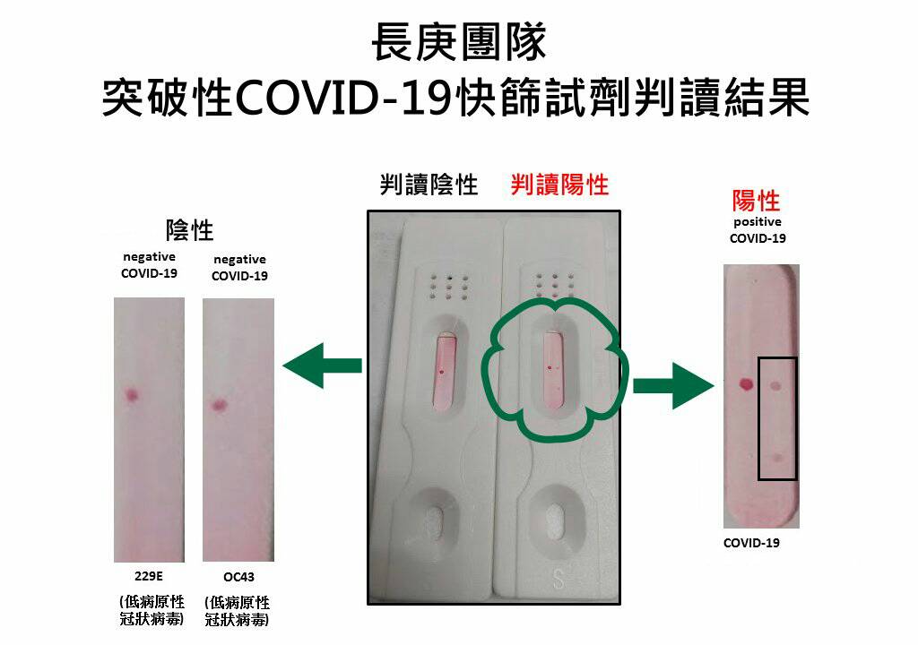 長庚團隊突破性COVID-19 快篩試劑判讀結果。(林口長庚醫院提供)