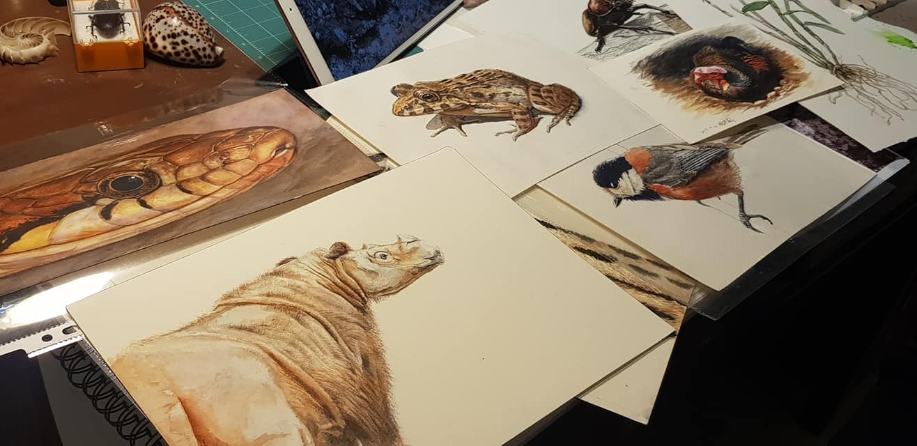 新生代台灣科學繪圖師有熱情，也能畫出精彩作品，但卻難以糊口。圖為林家蔚作品。(江昭倫攝)