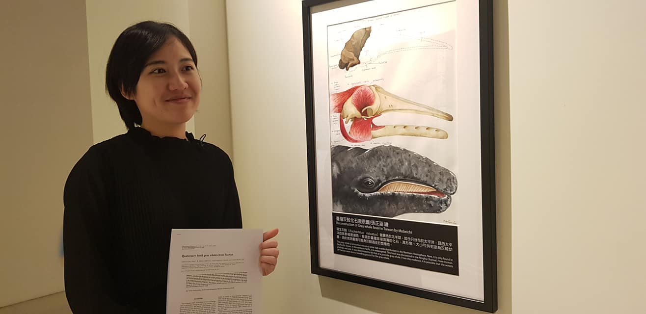 孫正涵是台灣少見的古生物復原科學繪圖師。(江昭倫攝)