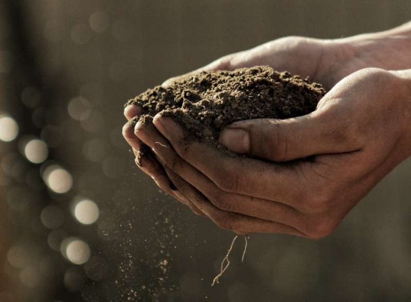 歐洲出現「不永續」(Unsustainable)的農地和林業發展，以及城市化腳步不斷擴大，使得歐洲的動物和自然棲息地受到威脅。(Gabriel Jimenez/Unsplash)