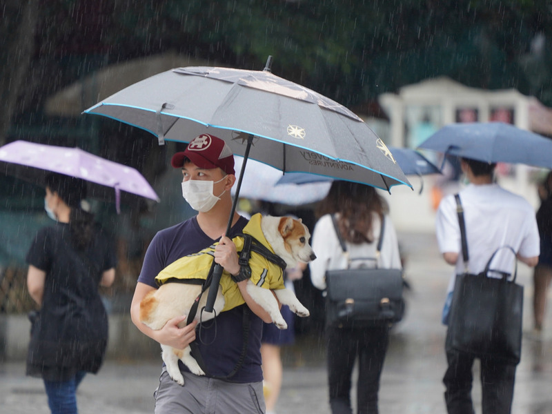 受梅雨鋒面滯留影響，中央氣象局發布大雨或豪雨特報。水利署掌握水情狀況，目前對中南部水庫離解渴有一段距離，不過因應這波雷雨，將再次準備防汛工作。(圖：中央社)