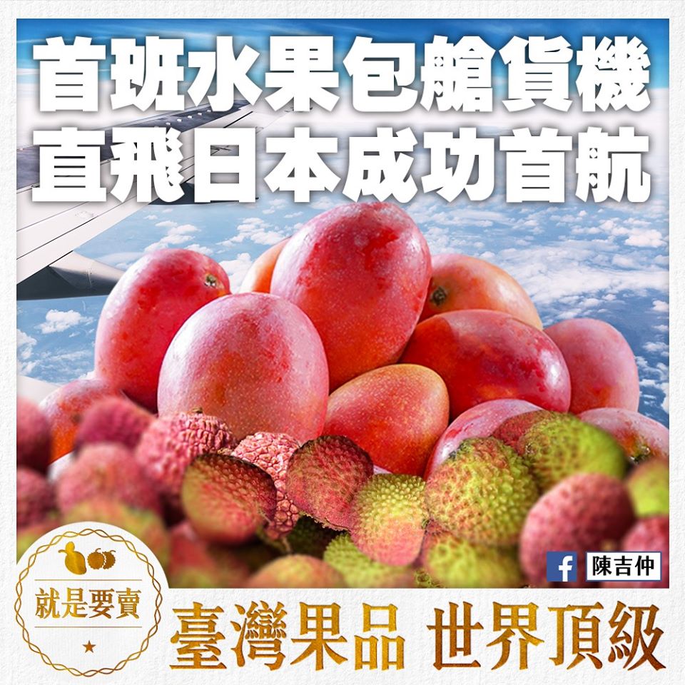 農委會26日表示，日前輔導台灣蔬果輸出業同業公會與華航達成協議，今天首班包艙貨機啟航，空運30公噸玉荷包荔枝及愛文芒果到日本。(圖：農委會臉書)