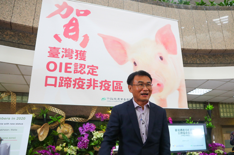 農委會17日上午舉行記者會，由主委陳吉仲親自主持，說明世界動物衛生組織（OIE）已經審查通過，台灣（台、澎、馬，不含金門）改列不打疫苗的非疫區，擺脫口蹄疫情。 (圖：中央社)