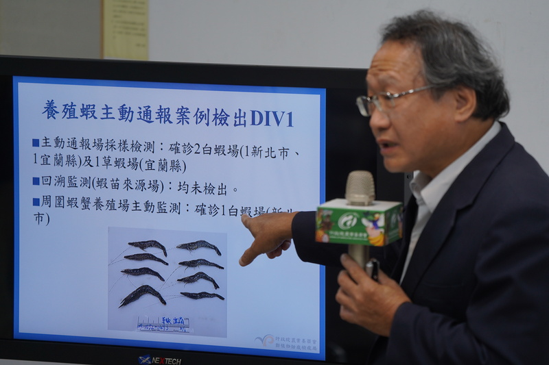 農委會副主委黃金城18日下午出席記者會，說明十足目虹彩病毒陽性螯蝦清除措施。(圖：中央社)