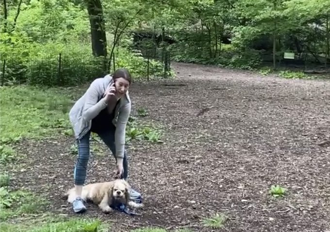 美國白人女性艾咪．古柏5月下旬在紐約中央公園遛狗沒拴狗鏈，一旁非裔男子克里斯汀．古柏善意提醒，她卻報警謊稱生命遭到威脅。(圖取自推特)