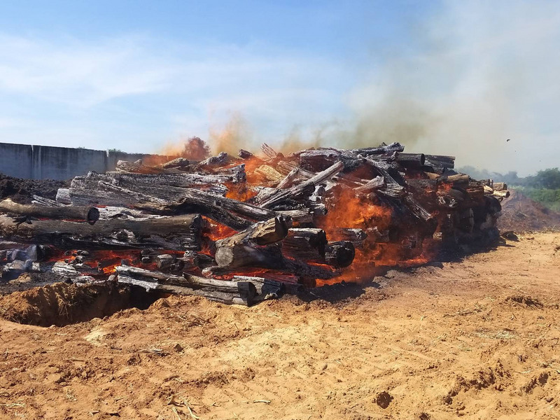 金門爆發牛結節疹疫情，縣府表示，12日對58頭牛隻預防性撲殺，同時繼續牛隻臨床檢查，新增17場95頭疑畜，將在確認染病後撲殺。（金門縣政府提供）