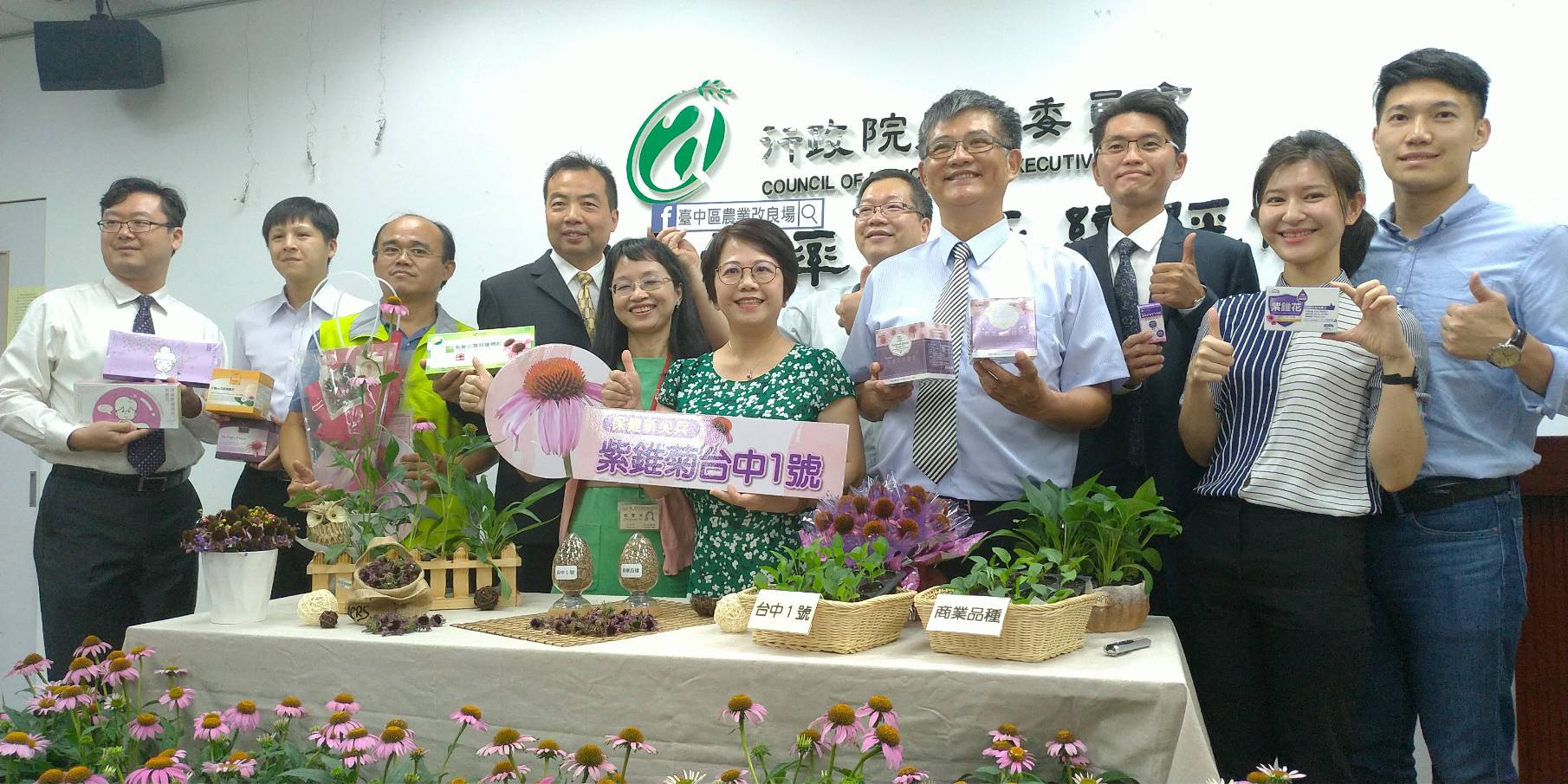 台中農改場經過8年的研究，成功育成國內第一個紫錐菊新品種「台中1號」，有助台灣紫錐菊保健食品的產業鏈發展。(圖／陳林幸虹)