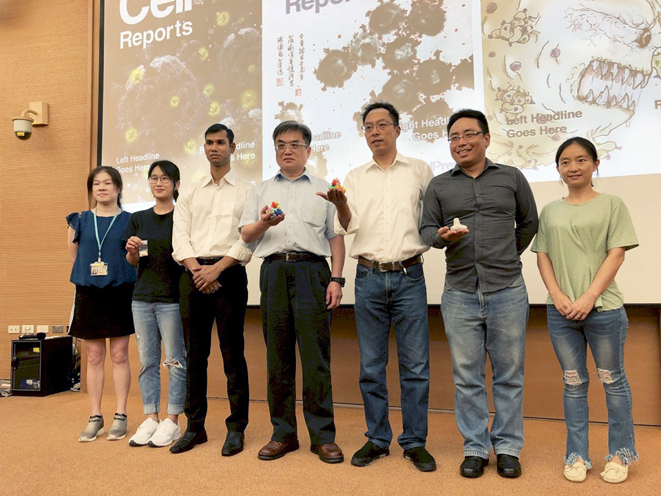 中研院基因體研究中心發現中草藥中的「白扁豆」所萃取出的蛋白質FRIL可抑制新冠病毒感染。(楊文君攝)