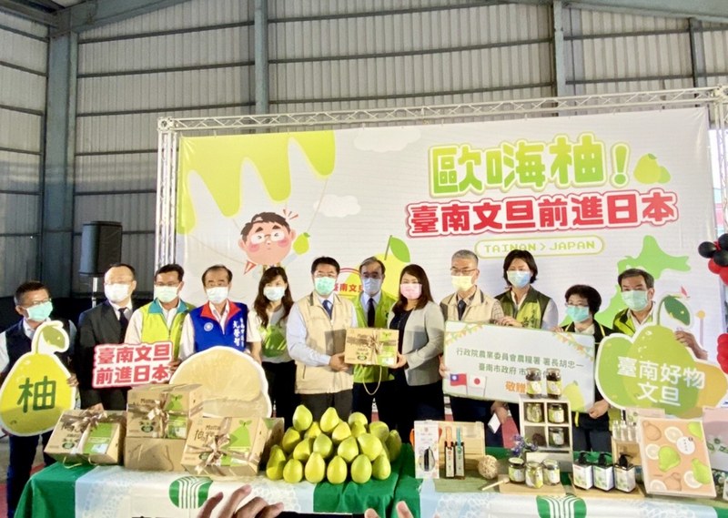 台灣文旦再次前進日本，首櫃台南文旦11公噸28日集貨，預定9月中旬送到東京。台南市長黃偉哲（左6）、農糧署長胡忠一（右6）在麻豆農會加工處理廠表示，這批輸日文旦中，7箱將送給茨城縣知事、笠間市長等7名日本政要，100箱將供應日本學校師生營養午餐。（台南市政府提供）