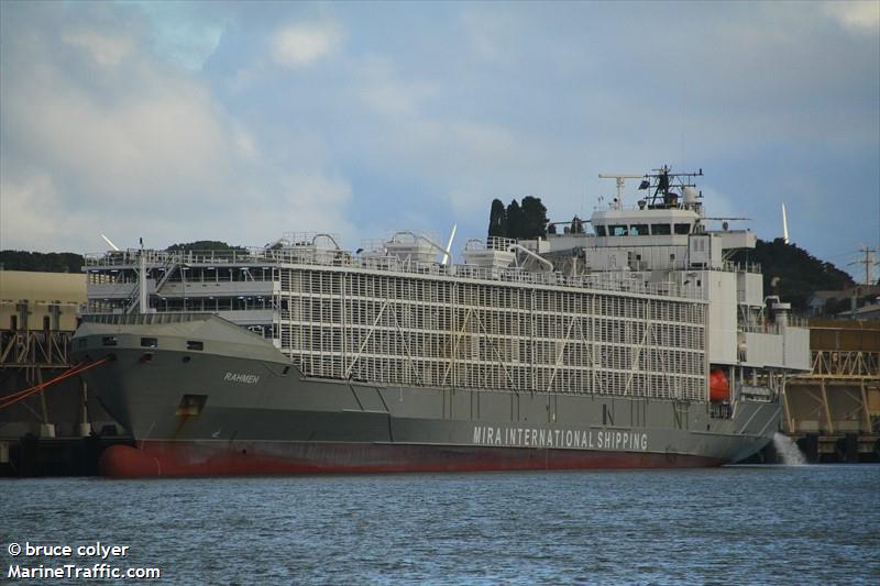 貨輪Gulf Livestock 1( 圖：MarineTraffic.com/bruce colyer)