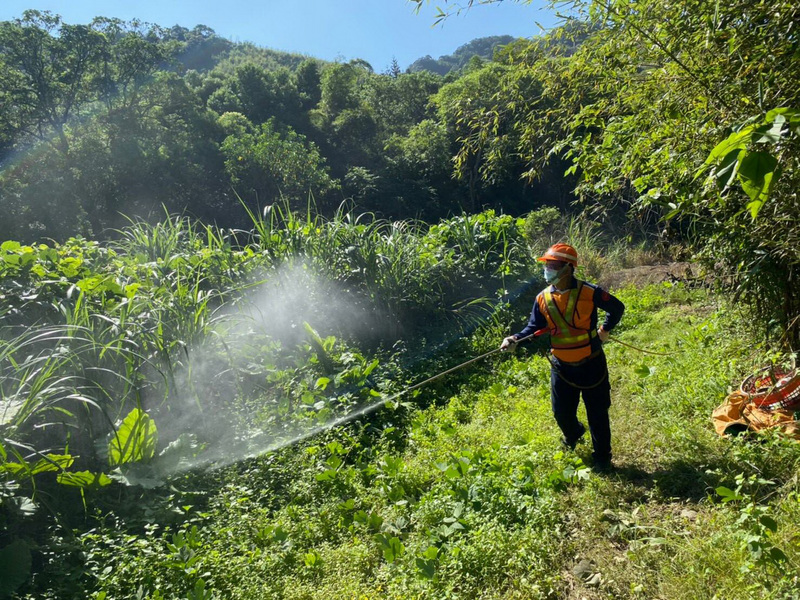衛生福利部疾病管制署5日公布，新增3例本土登革熱病例，其中2人在新北市三峽區五寮里筍園工作，研判3例都與五寮里登革熱群聚有關。(圖：中央社)