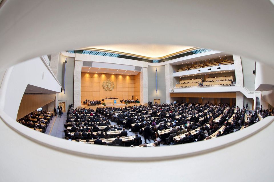 世界衛生大會（World Health Assembly，WHA）。(美聯社/達志影像)