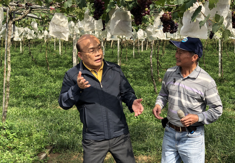 行政院長蘇貞昌（左）15日到南投縣草屯鎮視察擴大灌溉服務推動情形，蘇貞昌前往一處葡萄園，果農向蘇貞昌反映最近灌溉用水不足問題，蘇貞昌承諾會解決用水問題。(圖：中央社)