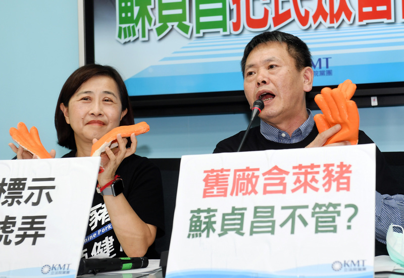 國民黨團總召林為洲(右)則說，若民進黨硬要碾壓，國民黨將全力抵抗，立法院會瀰漫火藥味。(圖：中央社)