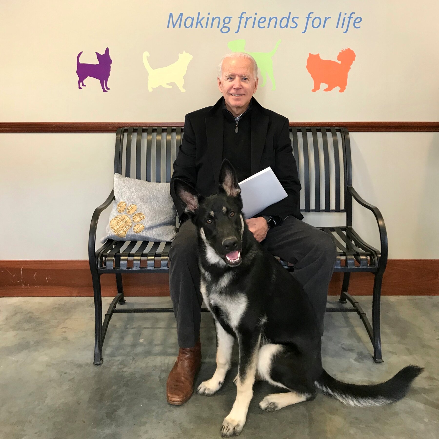 美國總統當選人拜登(Joe Biden)和愛犬「少校」(Major)。  (圖：Delaware Humane Association)