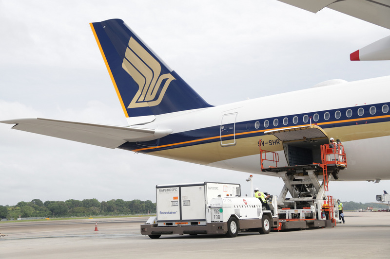 新加坡航空停飛台北往返洛杉磯13年後，今天(25日)起復飛，但旅客仍不能在台北轉機。圖為新加坡航空班機運送藥品。（新加坡航空提供）