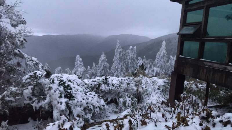 寒流來襲，太平山國家森林遊樂區11日上午8時許下起冰霰，雖然積雪逐漸融化，不過山林間一片雪白美景，仍讓遊客直呼彷彿置身國外，相當感動。（林務局羅東林區管理處提供）(圖：中央社)