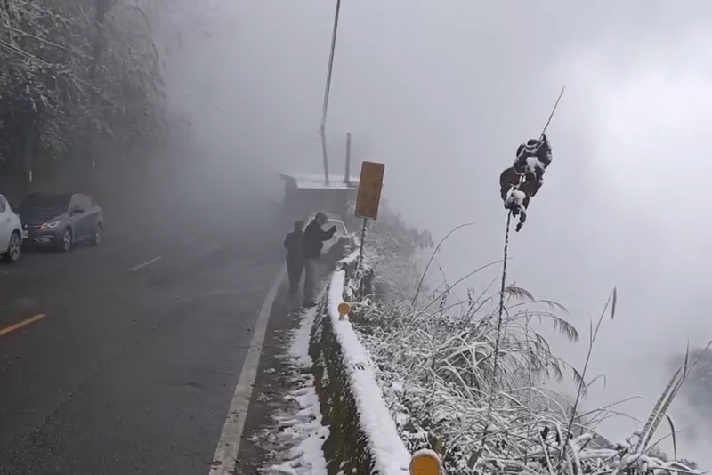 桃園市復興區拉拉山上巴陵、雪霧鬧部落等海拔1000公尺以上山區11日晚間開始降雪，12日上午再度下雪且量更多，桃園市政府觀光旅遊局提醒民眾，上山賞雪務必注意交通安全。（桃園市政府觀旅局提供） (圖：中央社)