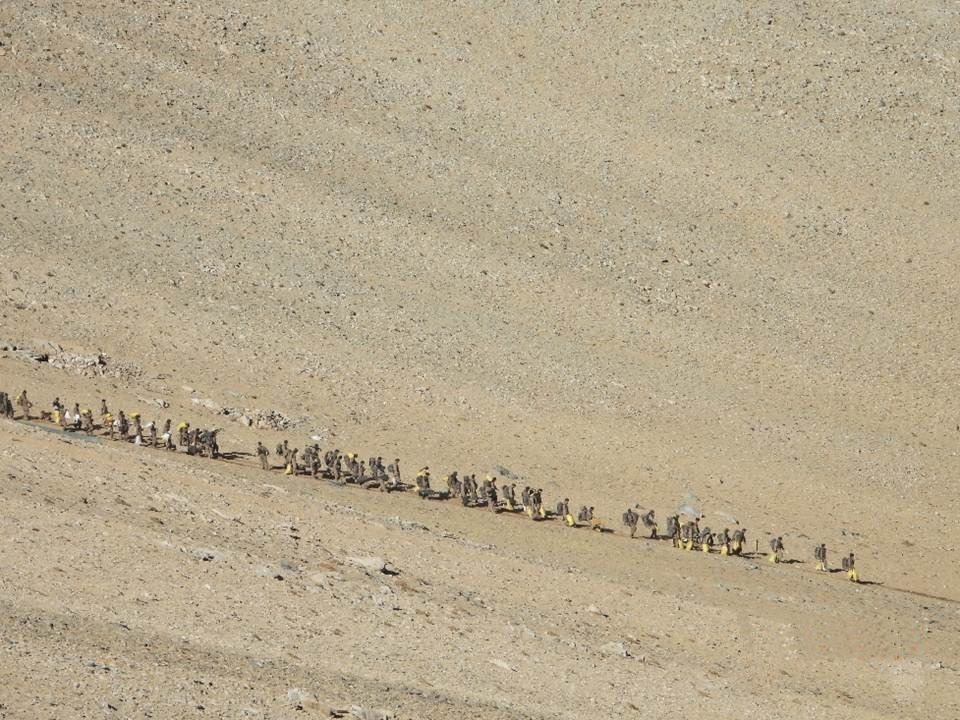 印度陸軍公布照片顯示，中國部隊正從班公湖（Pangong Tso）地區撤離。(美聯社/達志影像)