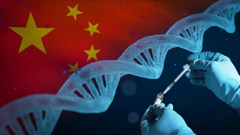 基因和生物技術突飛猛進的現實，突顯了國際社會加緊制定規範，防止濫用的必要性。