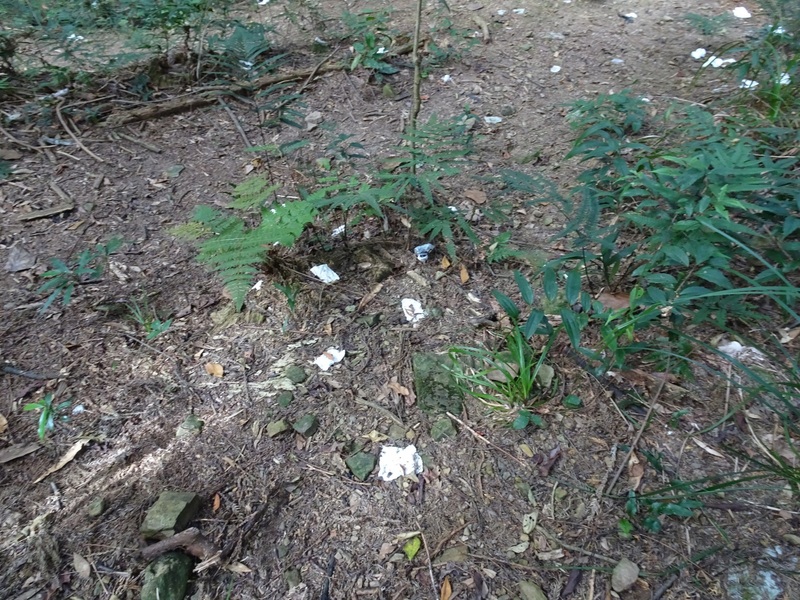 苗栗縣南庄加里山近年登山遊客增加，步道周邊卻出現大量山友「方便」使用過的衛生紙，為解決「小白花」之亂，林務局新竹林區管理處在大坪登山口試辦設置流動廁所，提供登山民眾在上山前先行「解放」。（林務局新竹林管處提供） (圖：中央社)