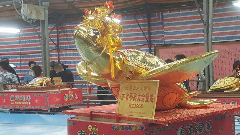 澎湖今年元宵乞龜活動中，市值2500萬元的390兩黃金龜，來自台澎兩地的民眾爭相筊杯乞求。 (圖：中央社)