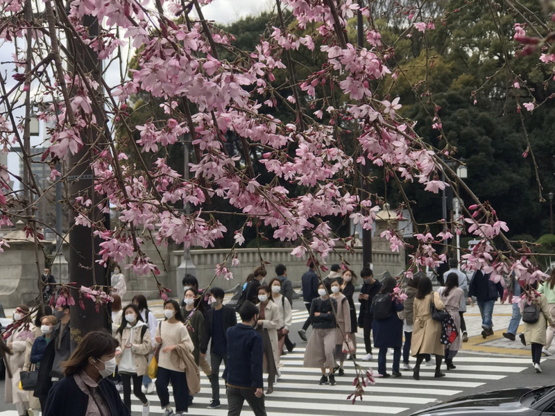 日本東京都等10都道府縣正處於「緊急事態宣言」期間，目前各地疫情普遍趨緩。 (資料照 / 圖:中央社)