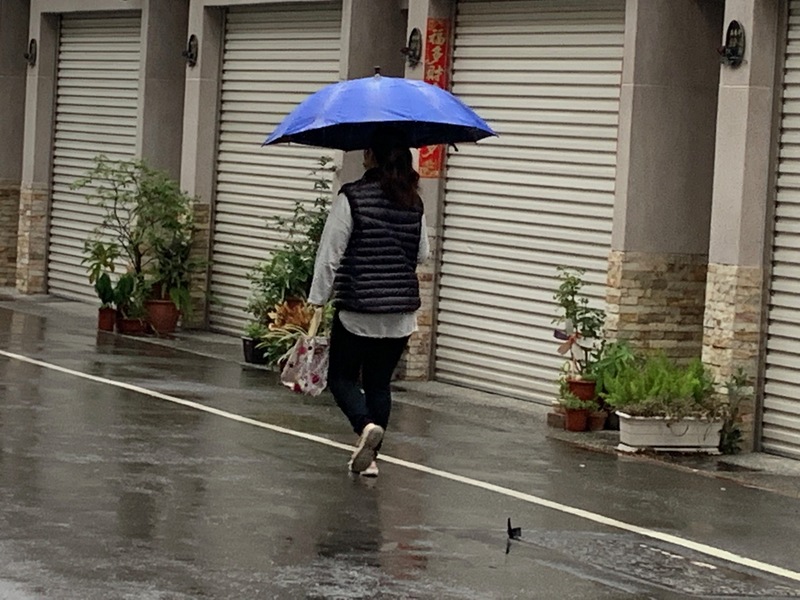鄭明典：印度洋夏季風醞釀，可望帶來梅雨季前降水。 (圖：中央社)