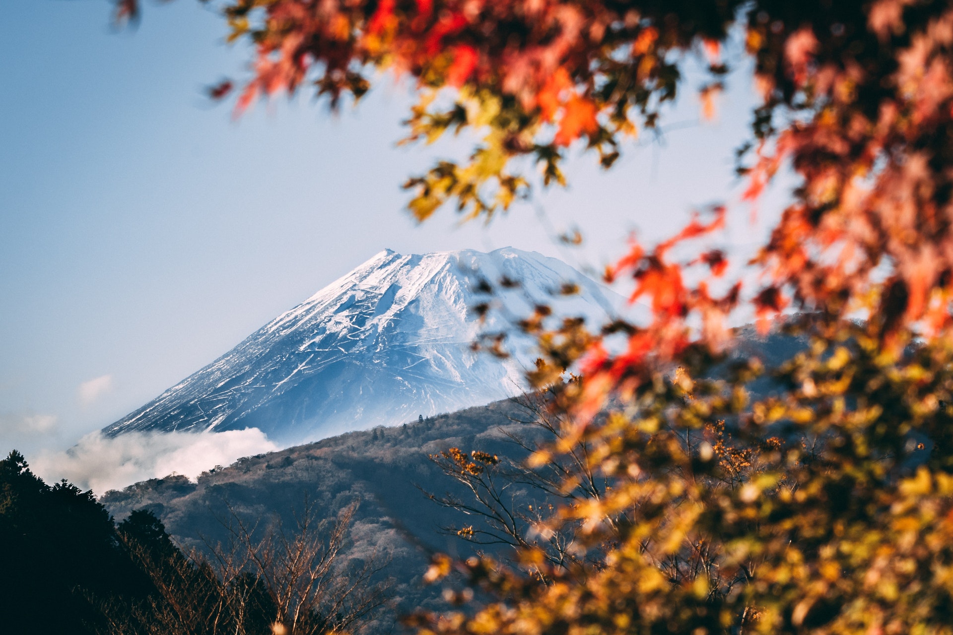 日本地方政府已確定政策方針，未來將強制徵收富士山「入山稅」，並新增入山條件。圖為富士山。(翻攝自Pexels.com)