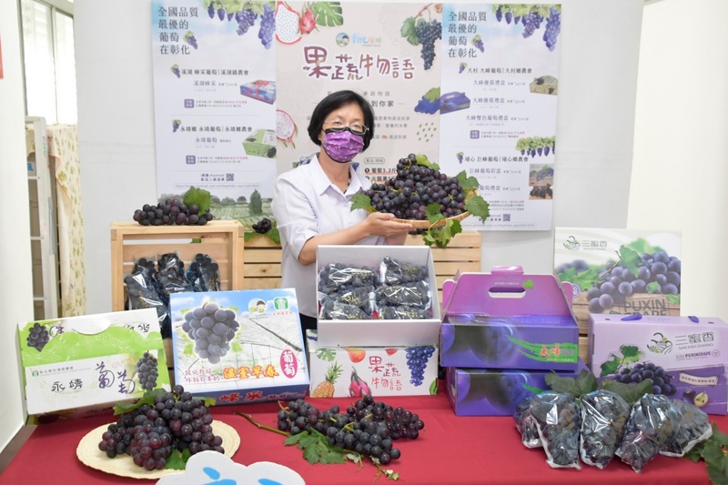 彰化縣溪湖鎮水果盤商夫妻到台北萬華賣葡萄染疫，果農表示連帶影響葡萄銷量，對此，農糧署已澄清「病毒不會感染植物或透過植物傳播」。彰化縣長王惠美（圖）21日籲請民眾多選購，力挺農民。（彰化縣政府提供）
