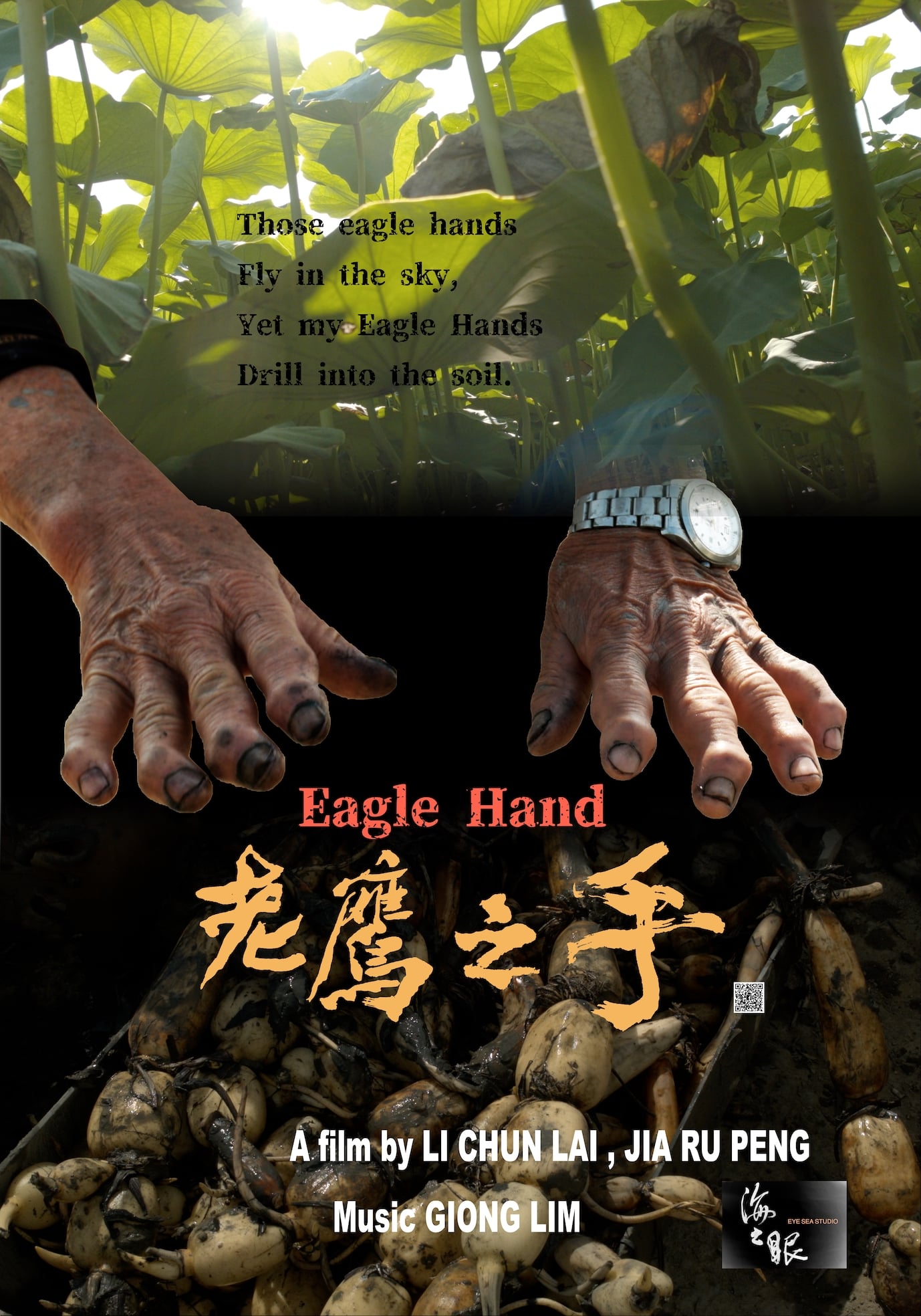 《老鷹之手》是一部關於嘉義牛斗山蓮藕農民的真實電影，將於2021年上映。(圖：老鷹之手FB粉絲頁)