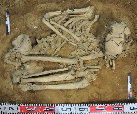 亮島人1號俯視照。(照片出處：2013，陳仲玉、邱鴻霖，《馬祖亮島人島尾遺址群發掘及「亮島人」修復計畫》，連江縣政府出版。)