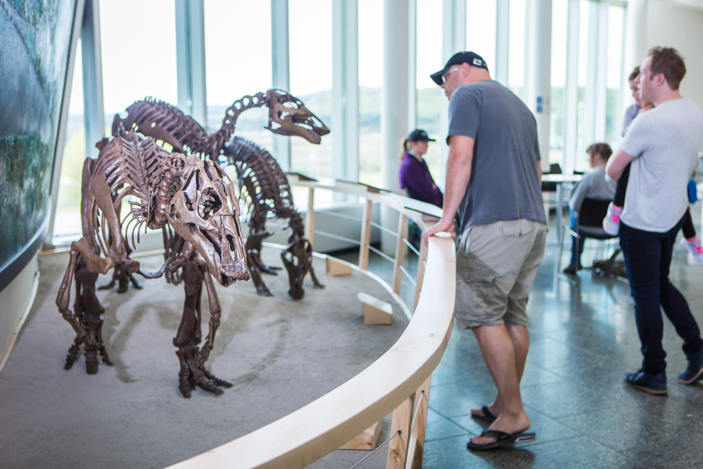阿拉斯加大學北方博物館。(圖：取自阿拉斯加大學北方博物館官網)