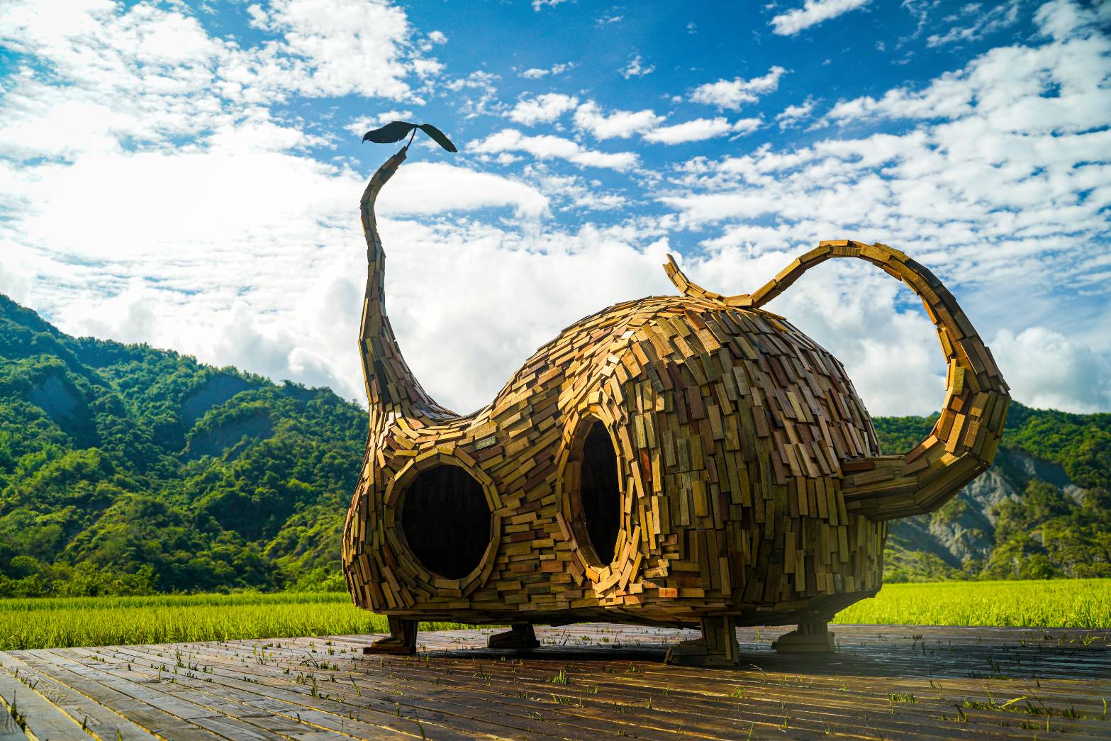 伊祐噶照「貓咪種子」／鹿野后湖阡陌田野(行政院農委會水保局臺東分局)