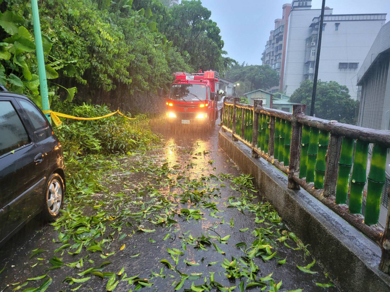 受颱風烟花外圍環流影響，北台灣24日清晨降大雨。北市警消上午5時許獲報，北投區泉源路附近有土石崩落導致路樹倒塌，樹木掉落在停放路旁車輛，此外也有停電等狀況，相關單位持續維修。（民眾提供） (圖：中央社)